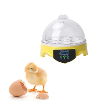 7 Casa Inteligente Ovo Incubadora De Pequenos Mini-Incubadora De Equipamentos De Ovo Incubadora